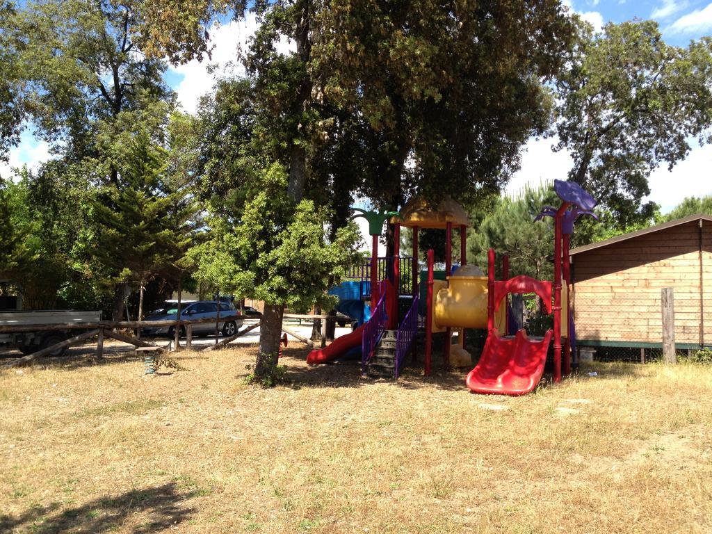 Camping Paradiso Viareggio Ngoại thất bức ảnh