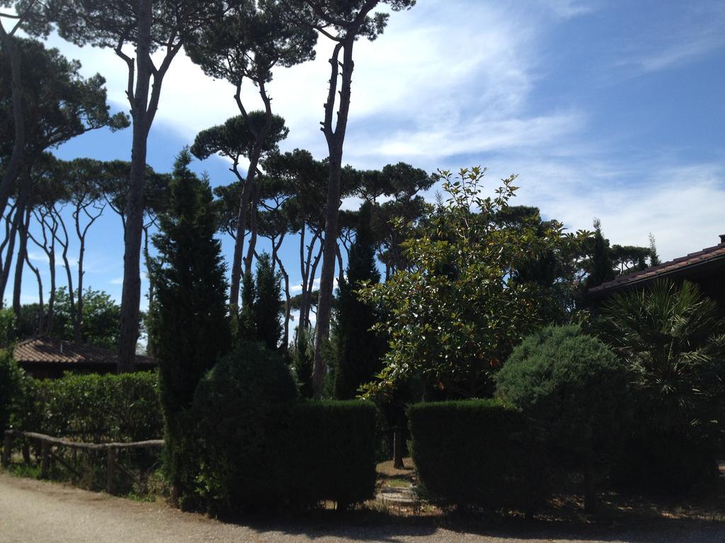 Camping Paradiso Viareggio Ngoại thất bức ảnh