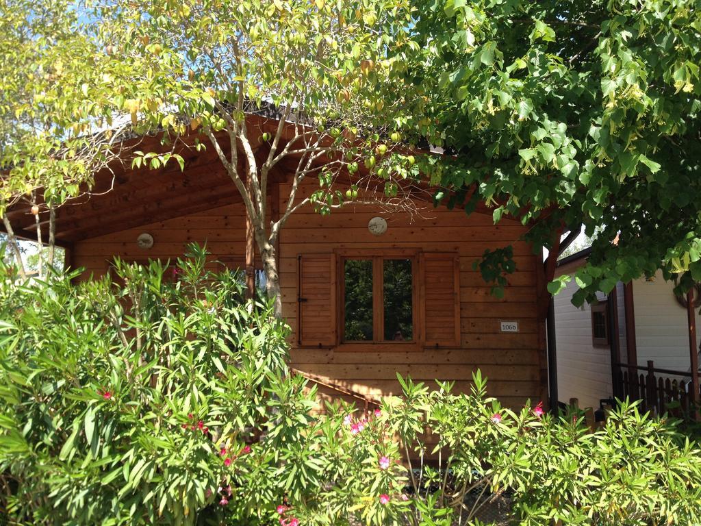 Camping Paradiso Viareggio Phòng bức ảnh