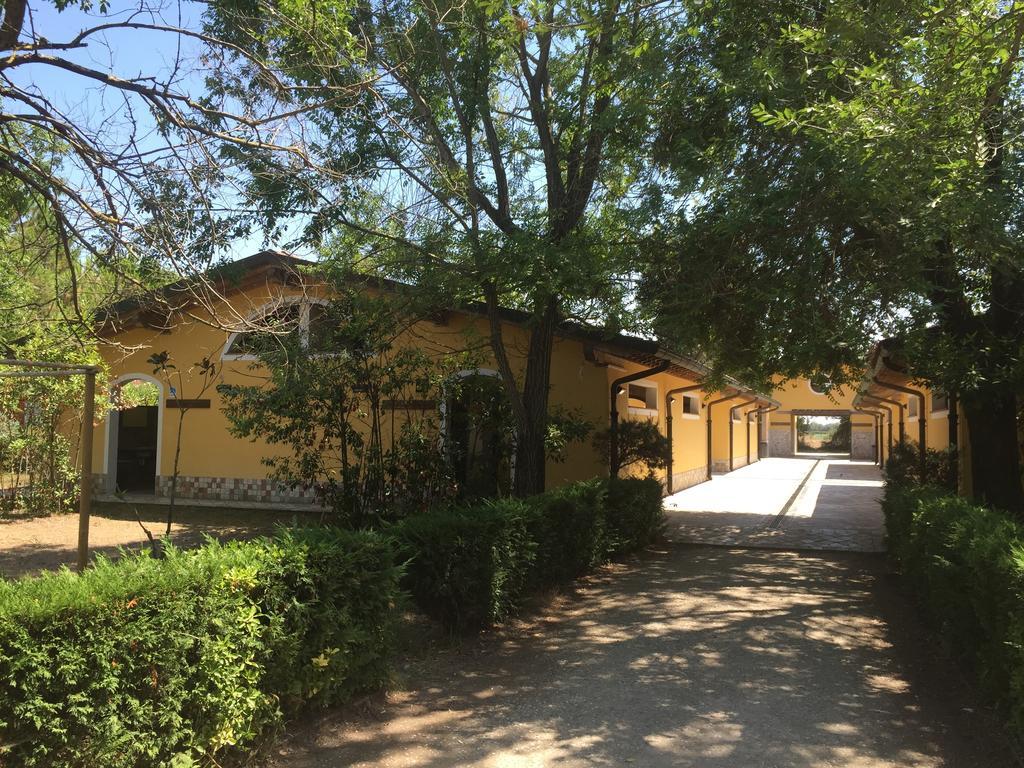 Camping Paradiso Viareggio Ngoại thất bức ảnh