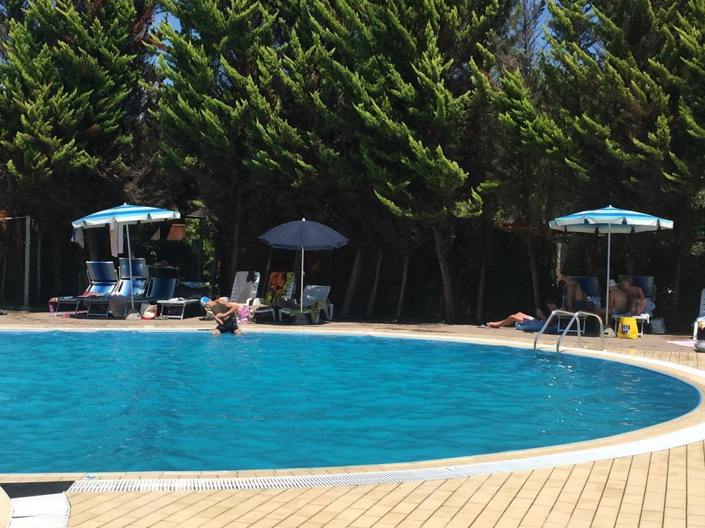 Camping Paradiso Viareggio Ngoại thất bức ảnh