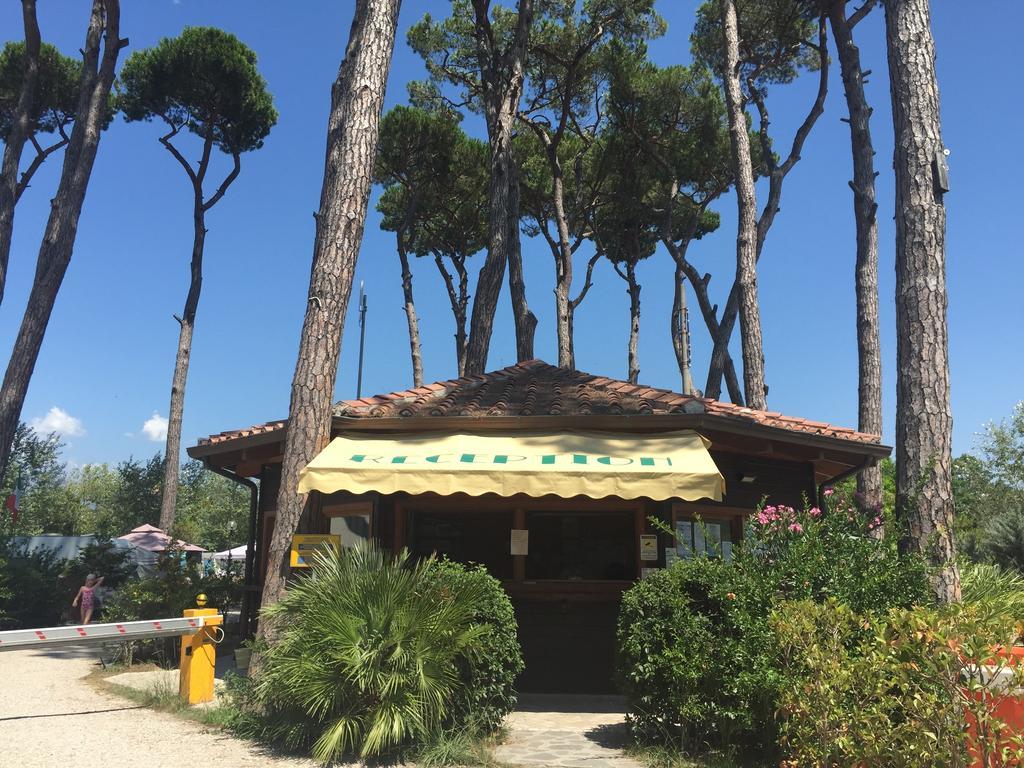Camping Paradiso Viareggio Ngoại thất bức ảnh