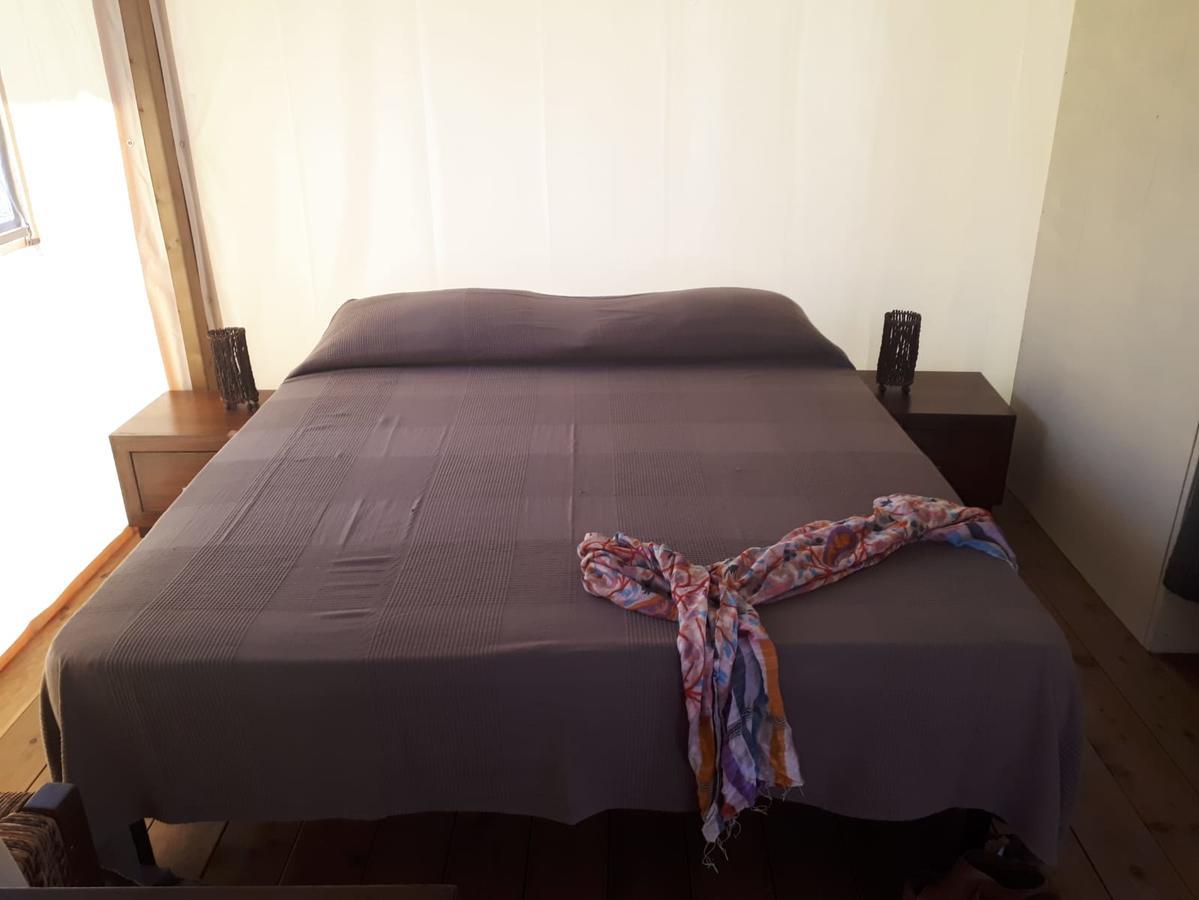 Camping Paradiso Viareggio Ngoại thất bức ảnh